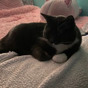 Meet your Posher, Anya